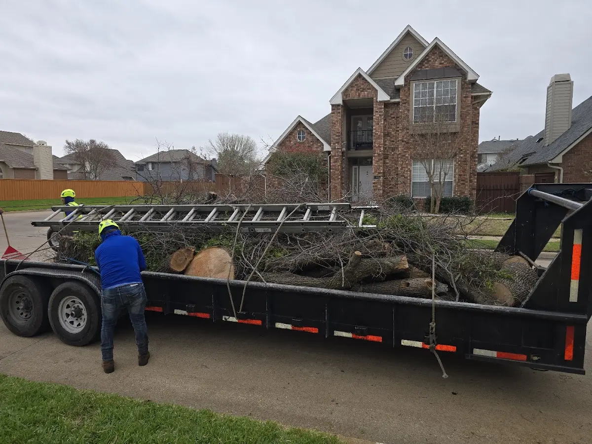 Expert Lot Clearing with proper safety equipment in Levant